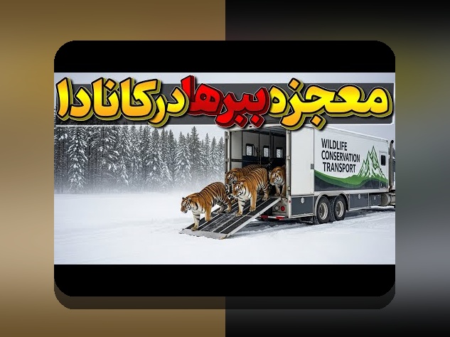 آشنایی کامل با هات بت بدون فیلتر شکن: چگونه به سایت شرط بندی دسترسی پیدا کنیم؟